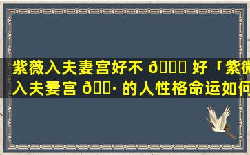 紫薇入夫妻宫好不 🍀 好「紫微入夫妻宫 🌷 的人性格命运如何」